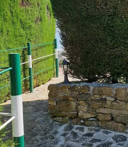 Huerta Vallejo * 龙达