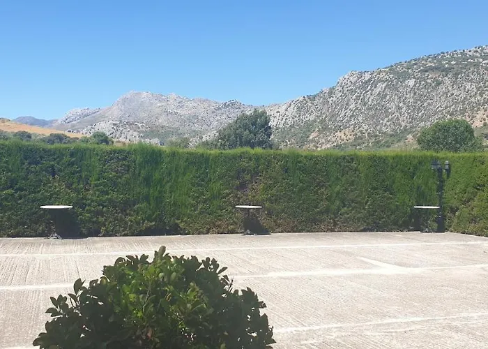 Huerta Vallejo * 龙达